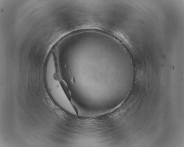 X0000089881268200706281341