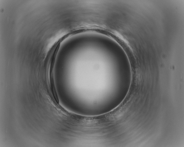 X0000089881269200706281341