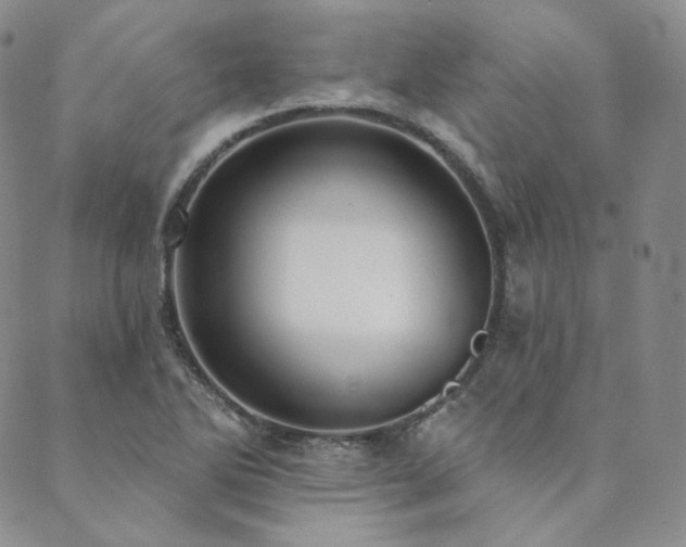 X0000089881270200706281341