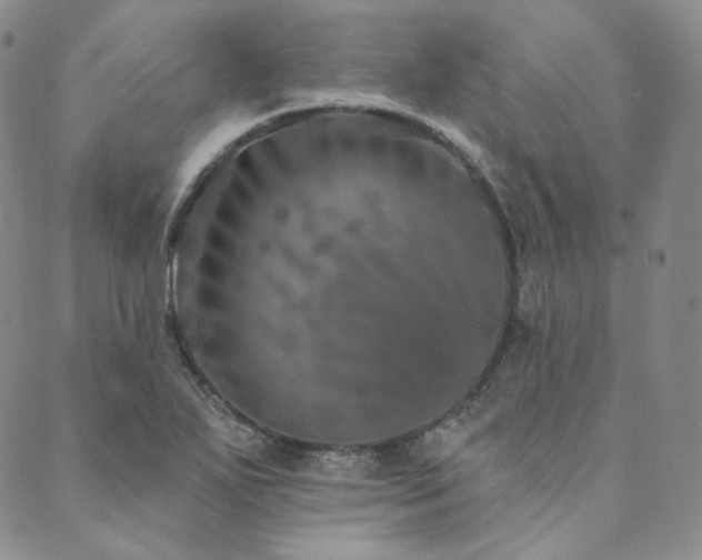 X0000089881271200706281341