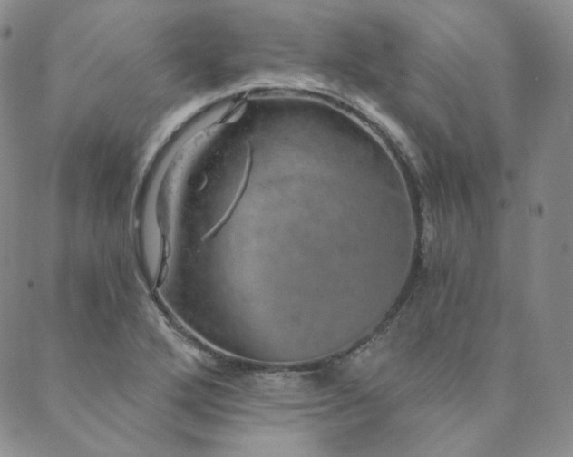 X0000089881272200706281341