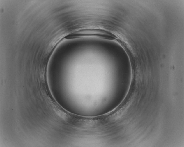 X0000089881273200706281341