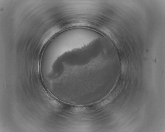 X0000089881274200706281341