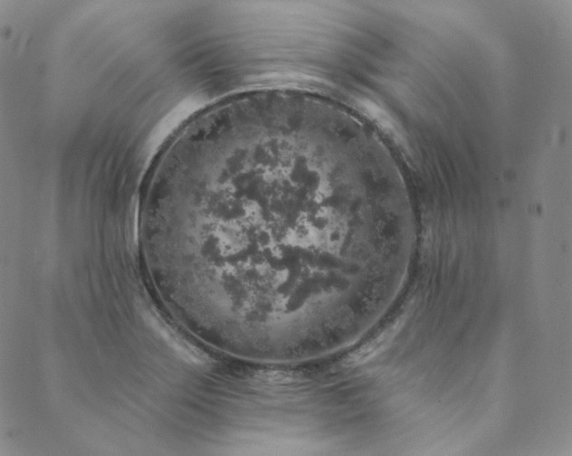 X0000089881275200706281341