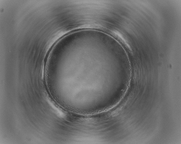 X0000089881276200706281340