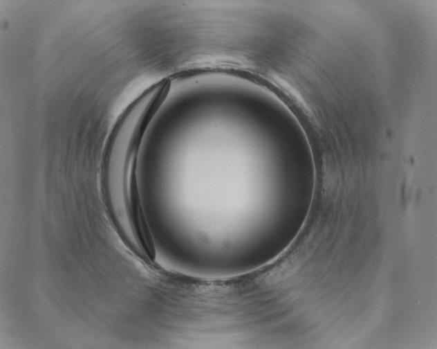 X0000089881277200706281340