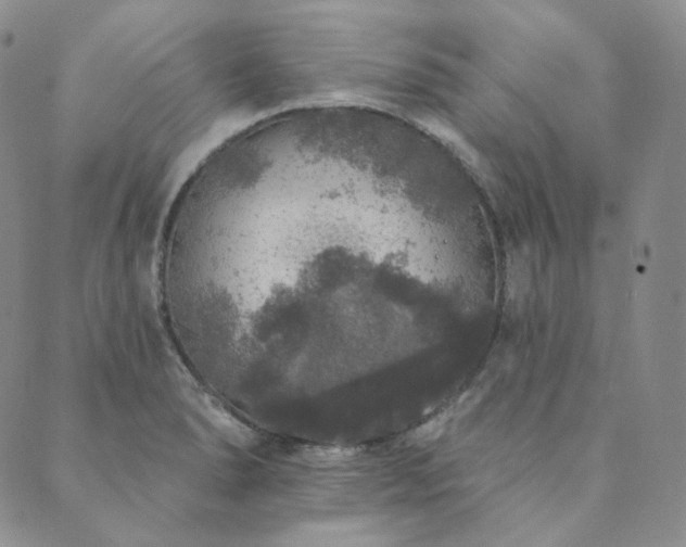 X0000089881278200706281340