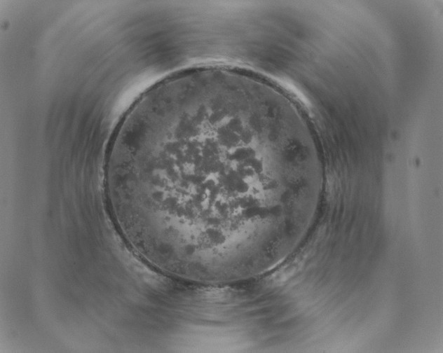 X0000089881279200706281340