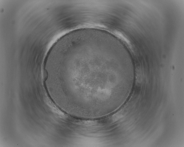 X0000089881280200706281340