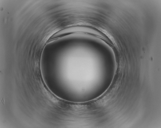 X0000089881281200706281340