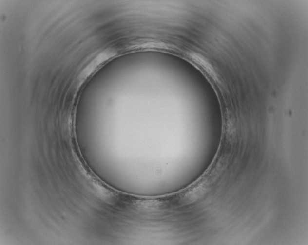 X0000089881282200706281340