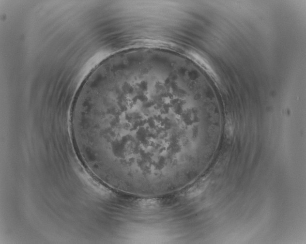 X0000089881283200706281340