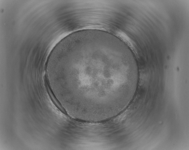 X0000089881284200706281340