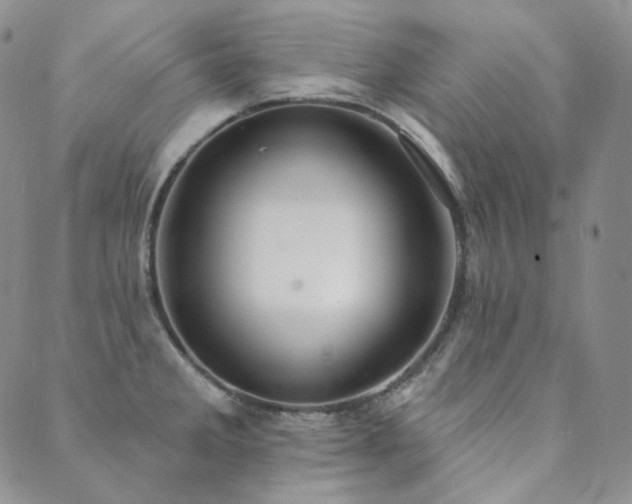 X0000089881285200706281340