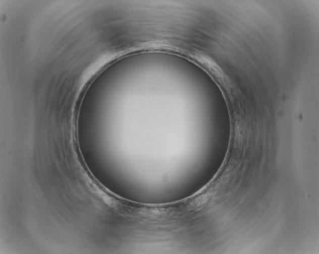 X0000089881286200706281340