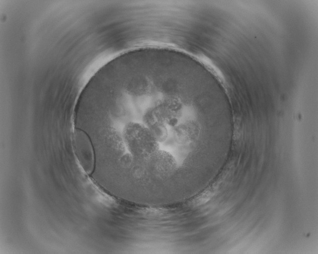 X0000089881287200706281340