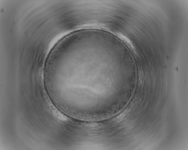 X0000089881288200706281340