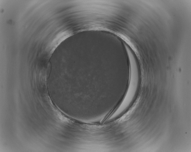 X0000089881289200706281340