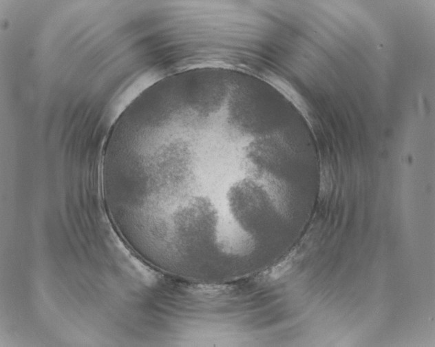 X0000089881290200706281340