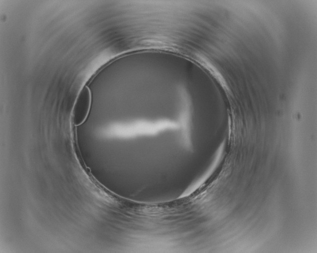 X0000089881291200706281340