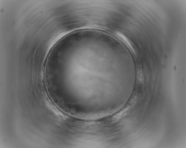 X0000089881292200706281340