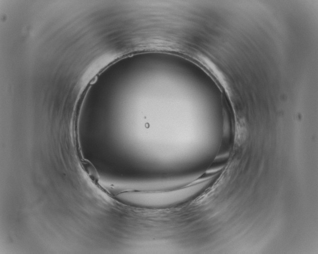 X0000089881293200706281340