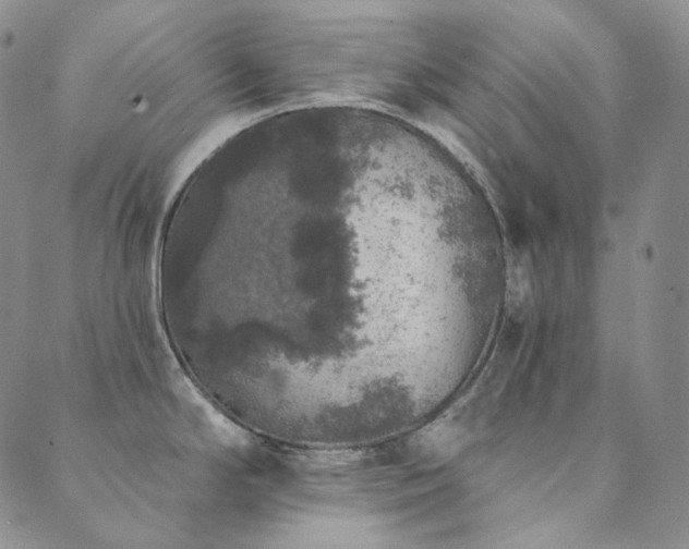 X0000089881294200706281340