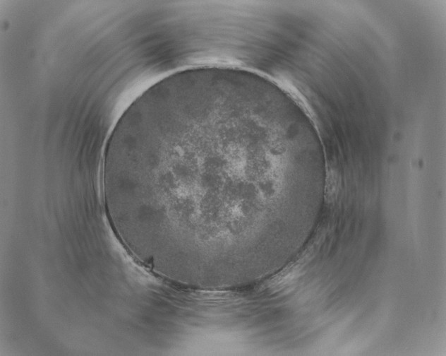 X0000089881295200706281340