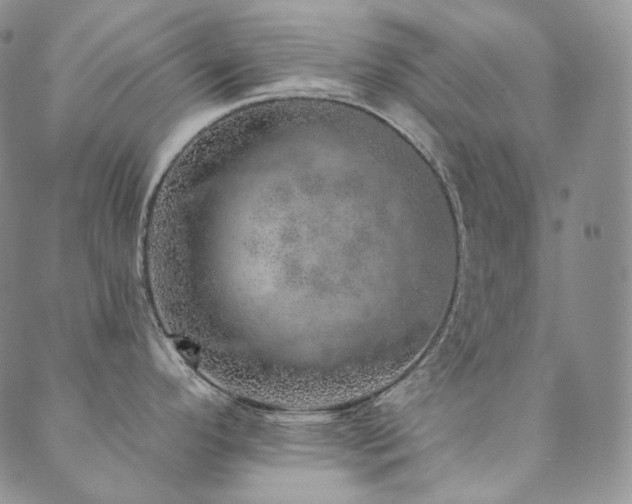 X0000089881296200706281340