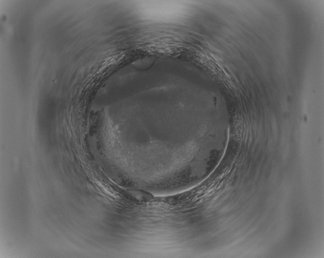 X0000089881297200706281339