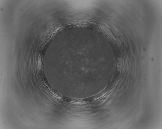 X0000089881298200706281339