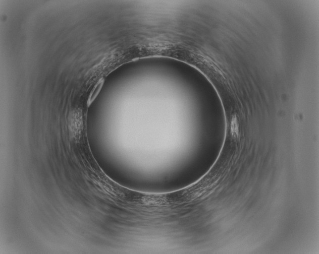 X0000089881299200706281339