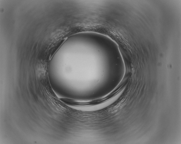 X0000089881300200706281339