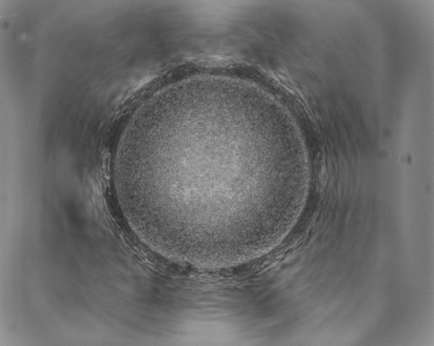 X0000089881301200706281339