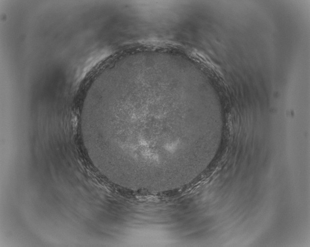 X0000089881302200706281339