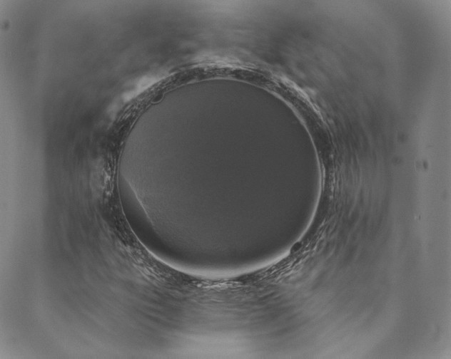 X0000089881303200706281339