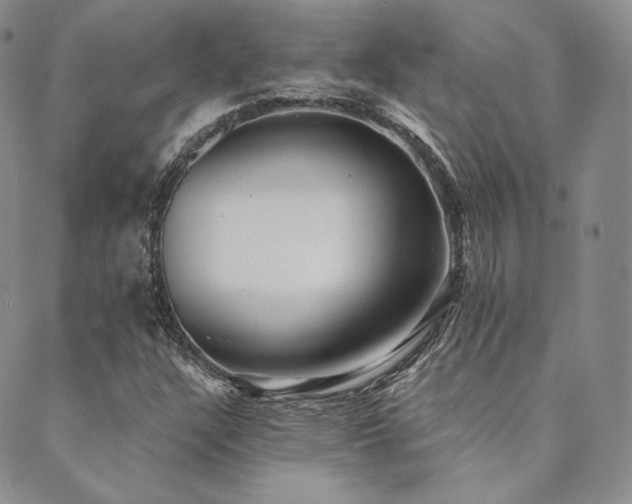 X0000089881304200706281339