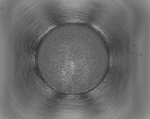 X0000089881305200706281340