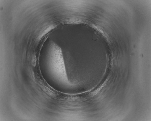 X0000089881306200706281340