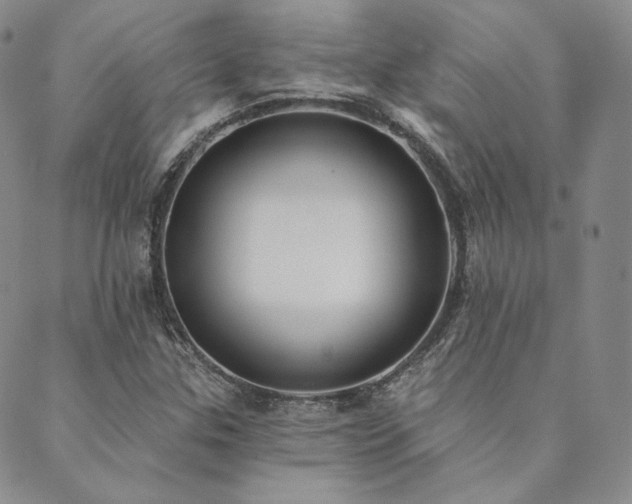 X0000089881307200706281340