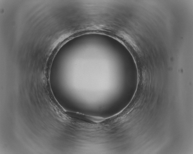 X0000089881308200706281340