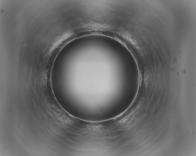 X0000089881309200706281340