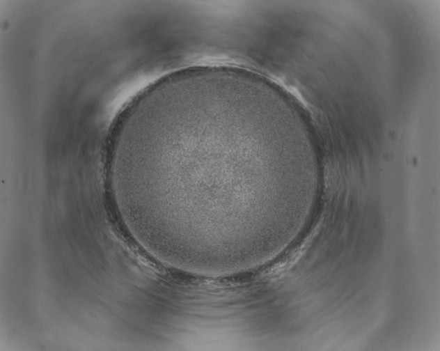 X0000089881311200706281340