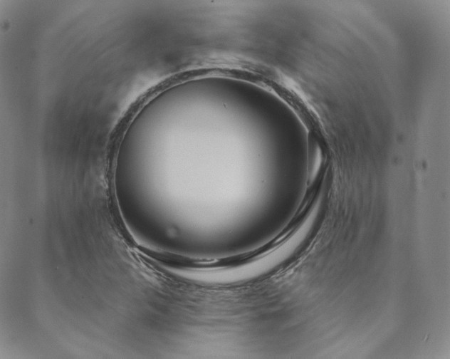 X0000089881312200706281340