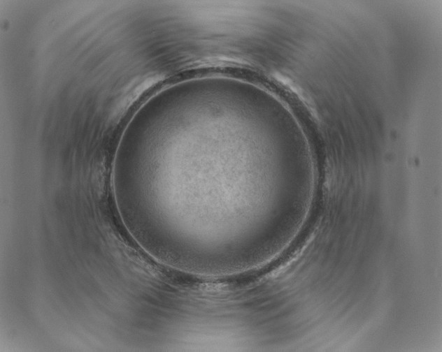 X0000089881313200706281340