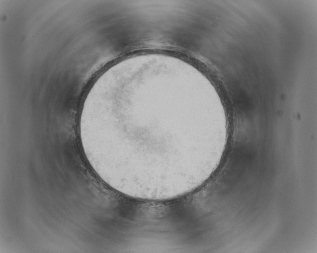 X0000089881314200706281340