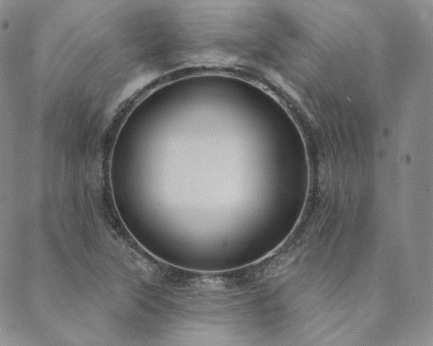 X0000089881315200706281340