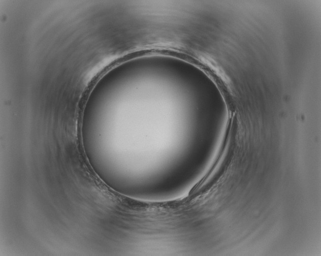 X0000089881316200706281340