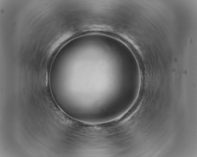 X0000089881317200706281340