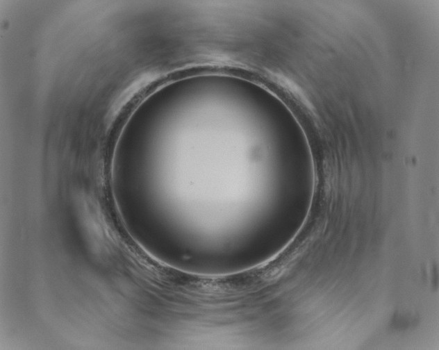 X0000089881318200706281340